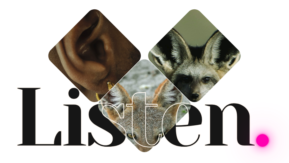 Listen Black Ears v2 960x540